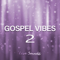 Gospel Vibes 2 product image