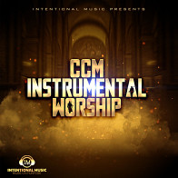 CCM Instrumental Worship product image