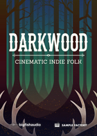 Darkwood: Cinematic Indie Folk product image