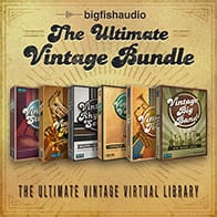 The Ultimate Vintage Bundle product image