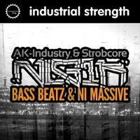 Nekrolog1k - Bass Beatz & NI Massive product image