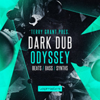 Terry Grant Presents - Dark Dub Odyssey product image