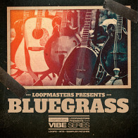 VIBES 14 - Bluegrass product image