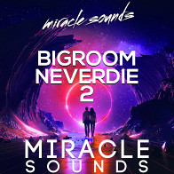 Bigroom Neverdie 2 product image
