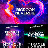 Bigroom Neverdie Bundle product image
