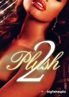 Plush 2 product image