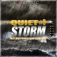 Quiet Storm 3 product image