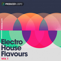 Electro House Flavours Vol 1 product image
