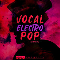Vocal Electro Pop product image