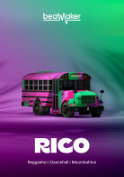 Rico Drums/Percussion Instrument