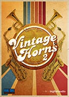 Vintage Horns 2 product image