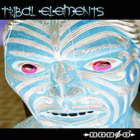 Tribal Elements product image